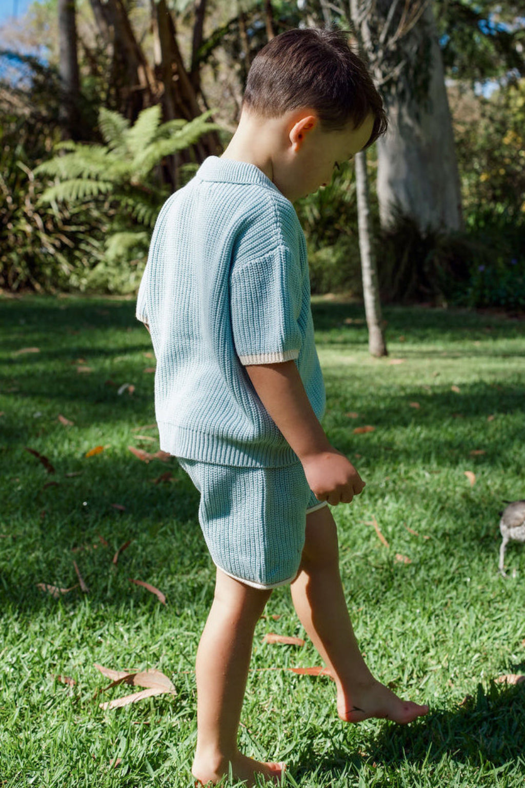Willow Set - Heirloom Blue